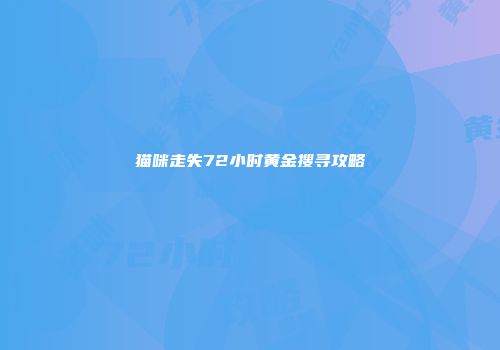 猫咪走失72小时黄金搜寻攻略