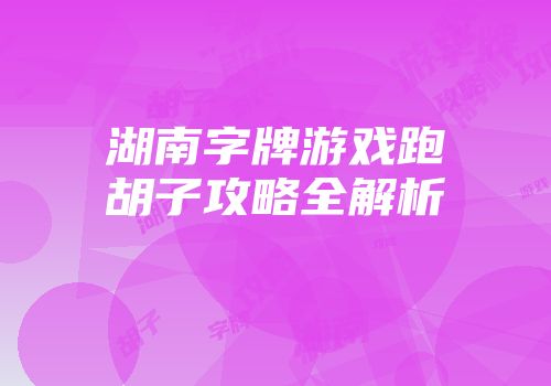 湖南字牌游戏跑胡子攻略全解析