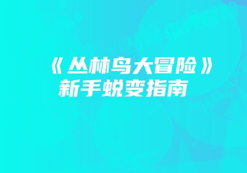 《丛林鸟大冒险》新手蜕变指南